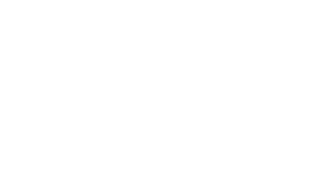 Seguradora 3