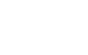 Seguradora 4