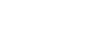 Seguradora 5